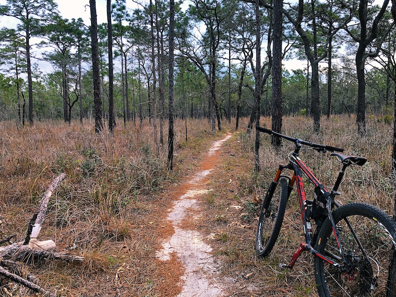 Hernando County Florida Mountain Biking Trails Trailforks