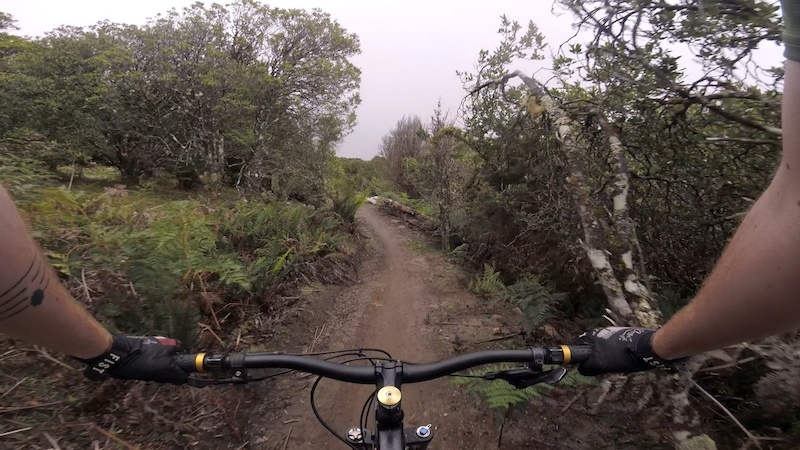 Bay of fires mountain bike online trail