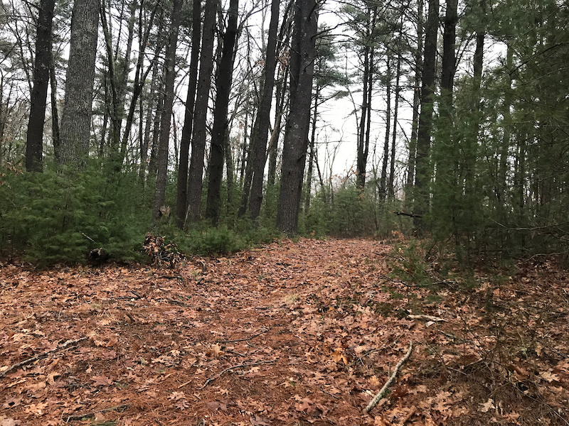 Groveland, Massachusetts Mountain Biking Trails Trailforks
