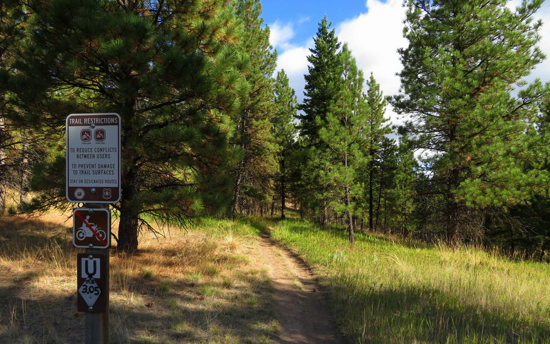 Ten Penny Multi Trail - Missoula, Montana | Trailforks