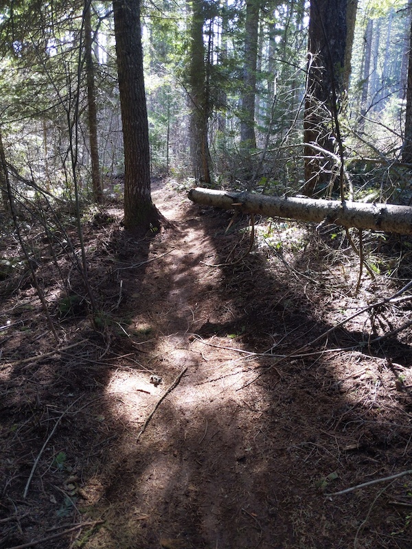 150 Upper 8Track Mountain Biking Trail Hood River