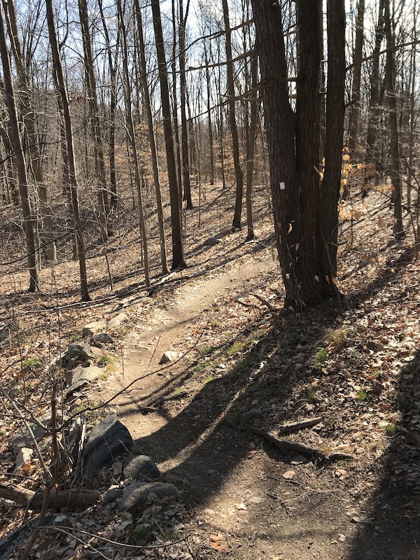 www.trailforks.com