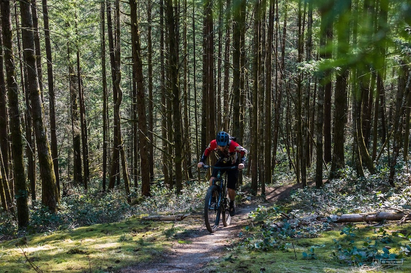 Squamish 50 50k Race Trail Running Route Trailforks