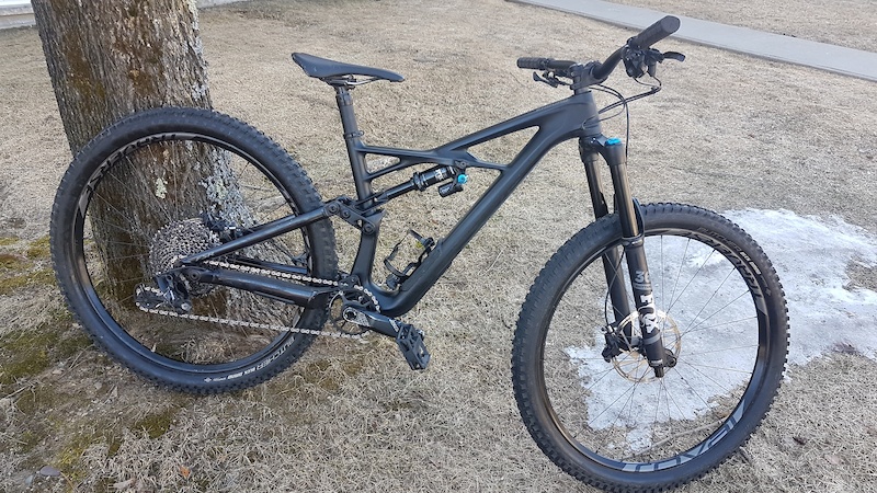 specialized enduro elite 29 2020