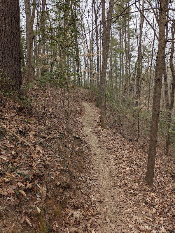 Zacks Fork Trail Mountain Biking Trail Lenoir, NC