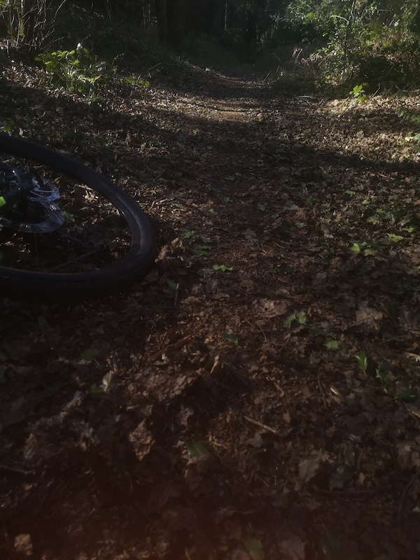 gosford mtb trails