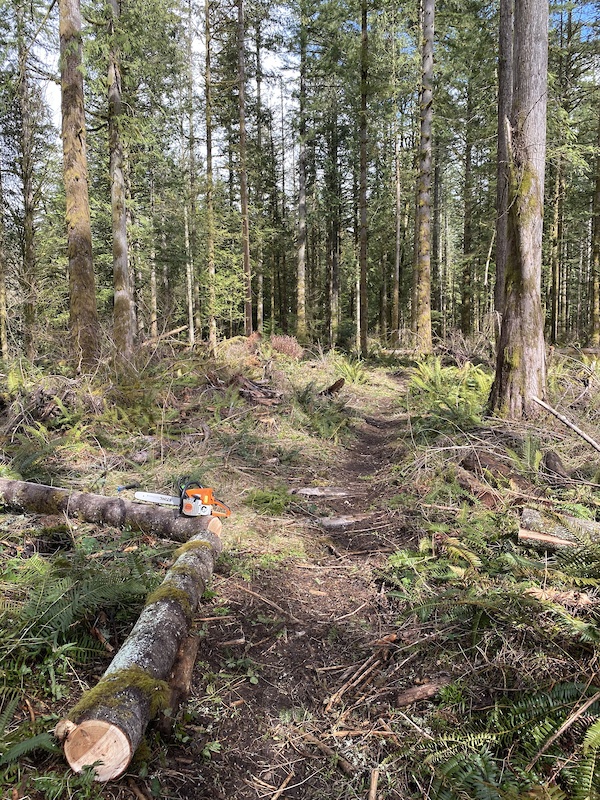 Sedro Woolley, Washington Mountain Biking Trails Trailforks