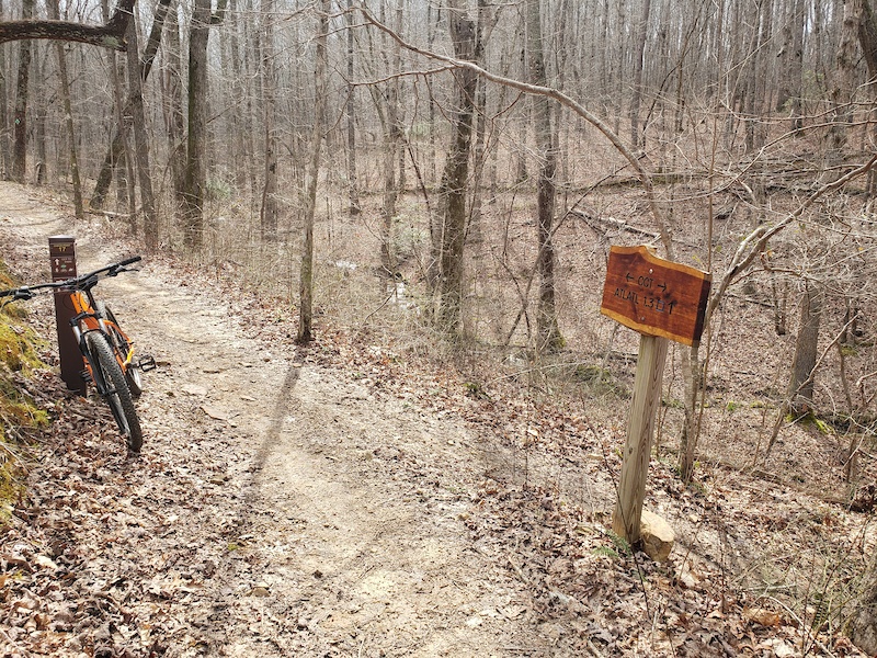 Grafton Lakes State Park, Grafton Mountain Biking Trails Trailforks