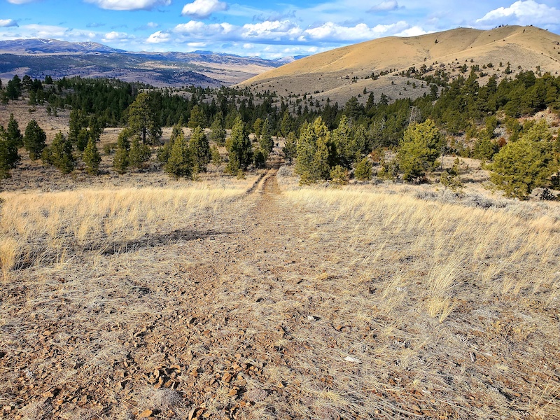 Scratchgravels Singletrack Multi Trail Helena, Montana