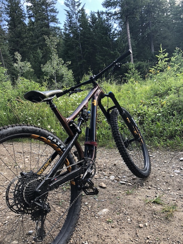 rocky mountain a50 2019