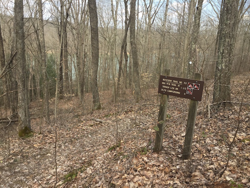 Escape to Kentucky's Wilderness: Your Guide to Buckskin Run Campground