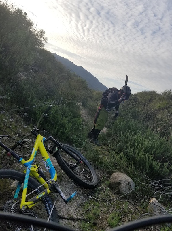 strava pebble