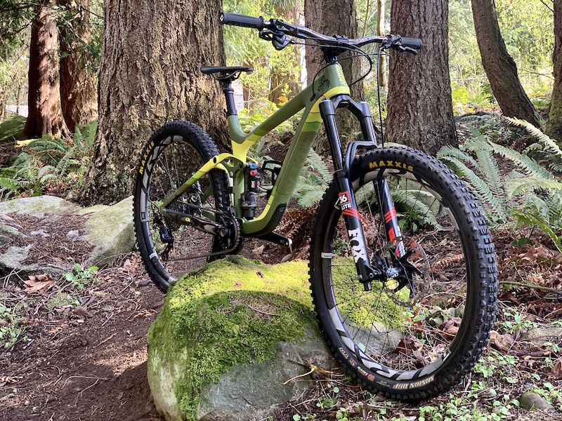 giant full carbon