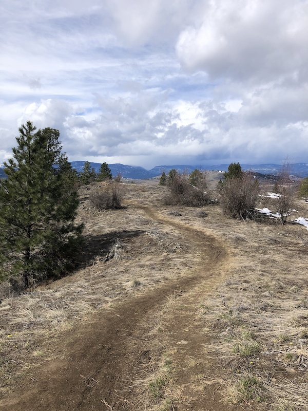 Lookout Trail Mountain Biking Trail Vernon, BC