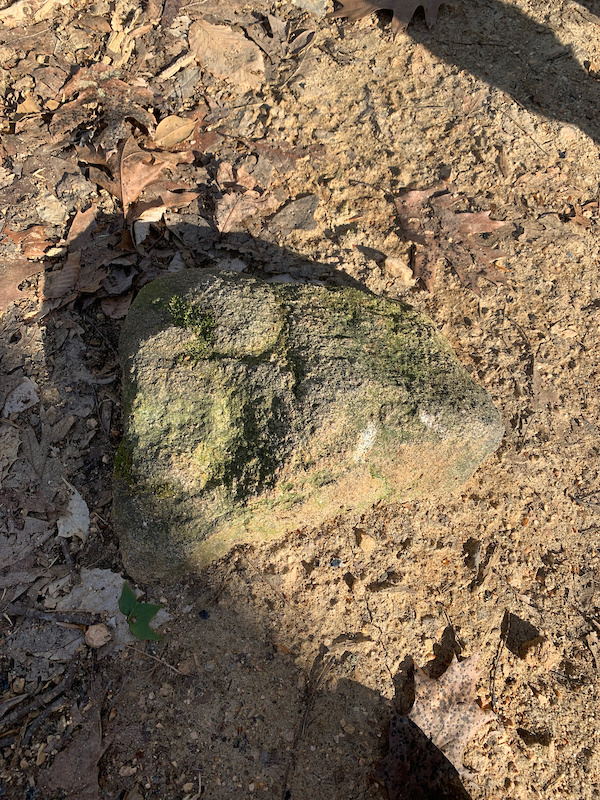 Powhatan Trail Mountain Biking Trail Chesterfield