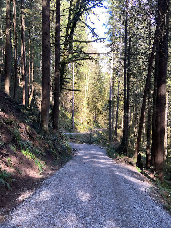 Richard's Homestead loop Hiking Route | Trailforks