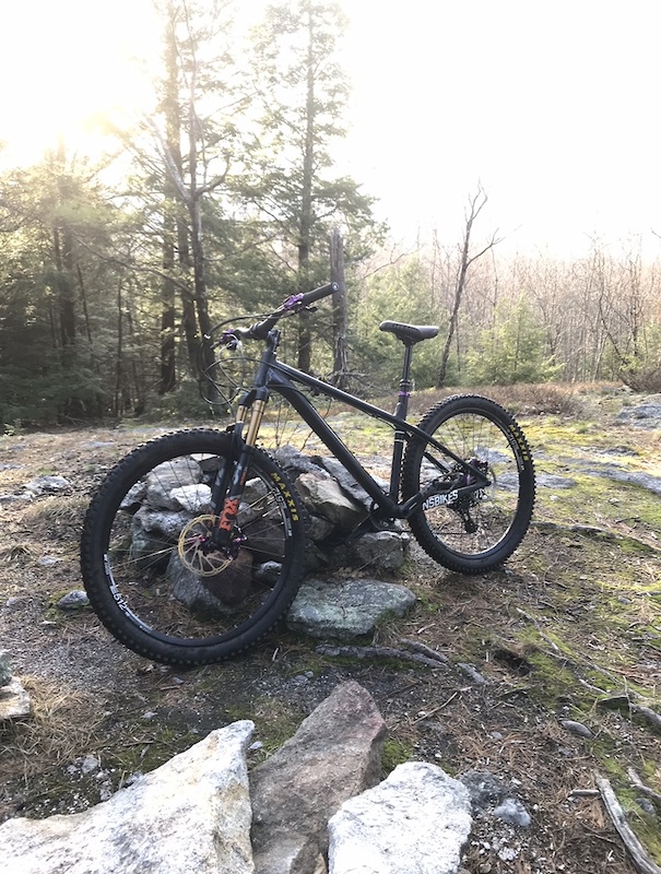 ns hardtail