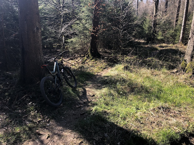 trekkingrad 30 gänge 28 Zoll Damen Trekking Fahrrad QUEST DB LADY Shimano x Gang DEORE XT RD-T8000 SGS City Bike Rahmenhöhe 48 52 56 60 cm M L XL günstig kaufen MetroY Ultra Brenta Runde - Tramin/Südtirol Wähle Deine Farbe:Multicolour