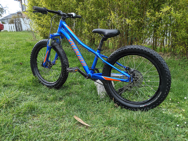 riprock specialized 20