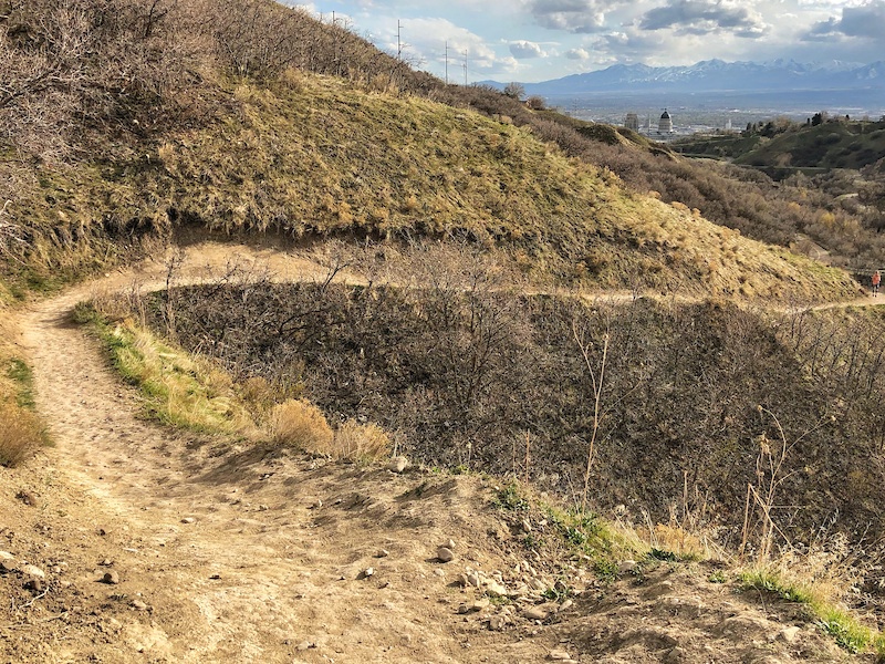 dry-gulch-to-city-creek-trailforks