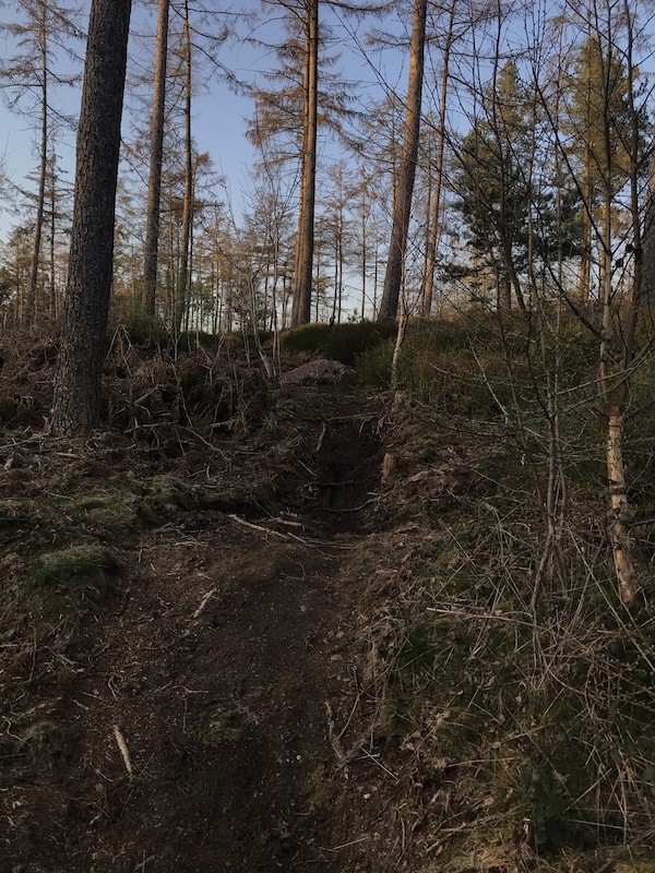 Hanchurch Wood Mega Loop Mountain Biking Route | Trailforks