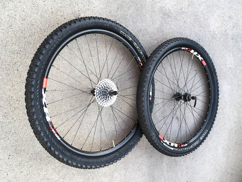 ale master bib shorts