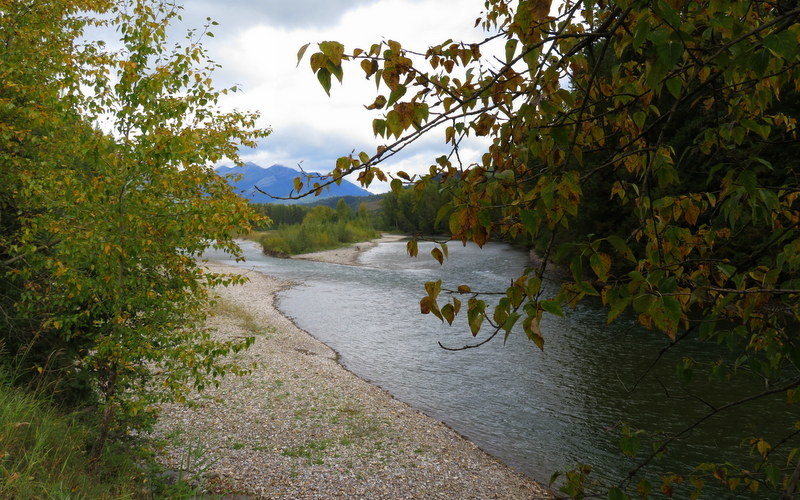 Elk Valley Trail Elko to Cokato Road Multi Trail Fernie