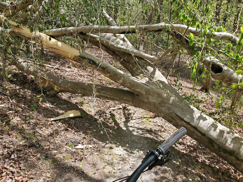 Matoaka Woods Trail Multi Trail Williamsburg, Virginia