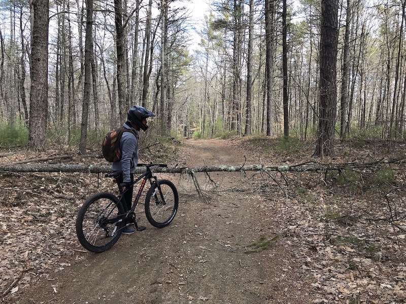 bear brook mountain biking