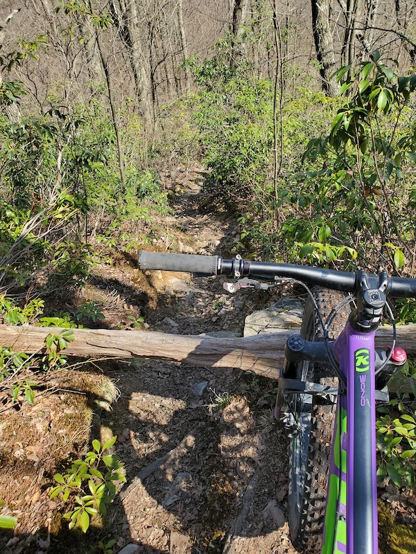 galbraith mountain beginner trails