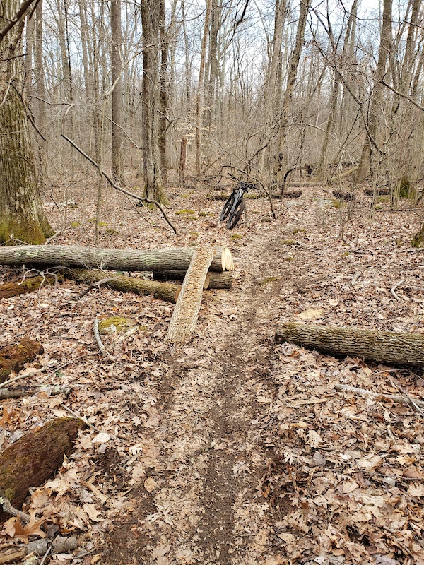 hampton hills mtb trail