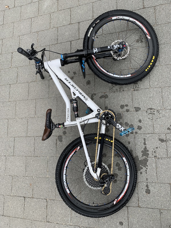 2019 Lil Shredder Phenom For Sale