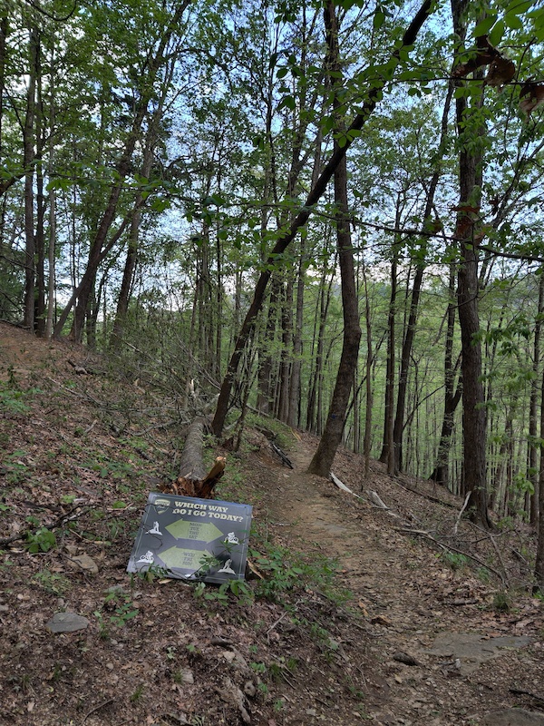 Buffalo Creek Park Trail Mountain Biking Trail Lake Lure