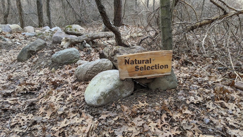 DTE Energy Foundation Trail, Chelsea 