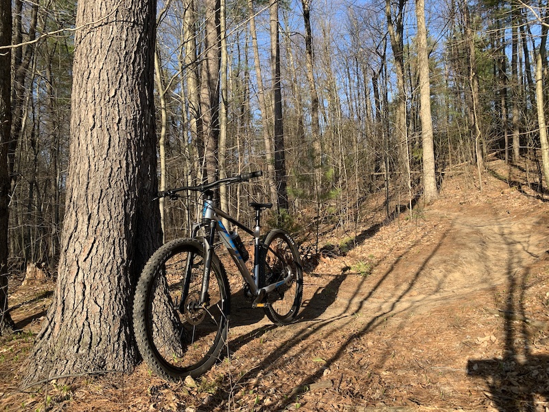 Luther Forest, Malta Mountain Biking Trails Trailforks