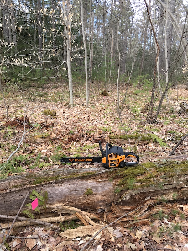 Bushwhack Loop Mountain Biking Trail - Gorham, Maine