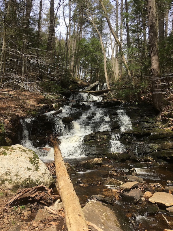 Day Pond Brook Falls Hiking Trail - Colchester, CT