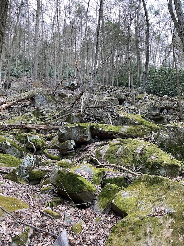 Not Steep Ridges What's Up Over That Ridge Anyway? Mountain Biking Route | Trailforks