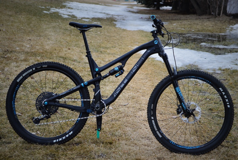 2019 intense recluse