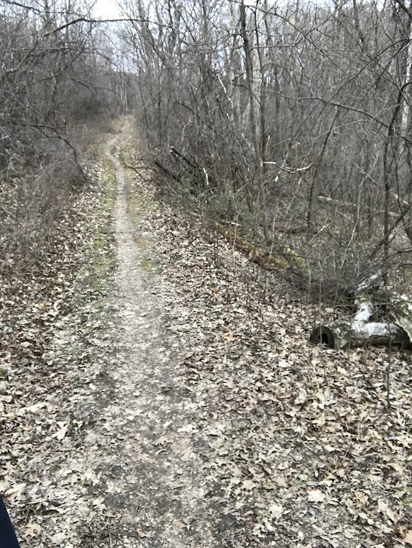 Cherry Hill, Winona Mountain Biking Trails Trailforks
