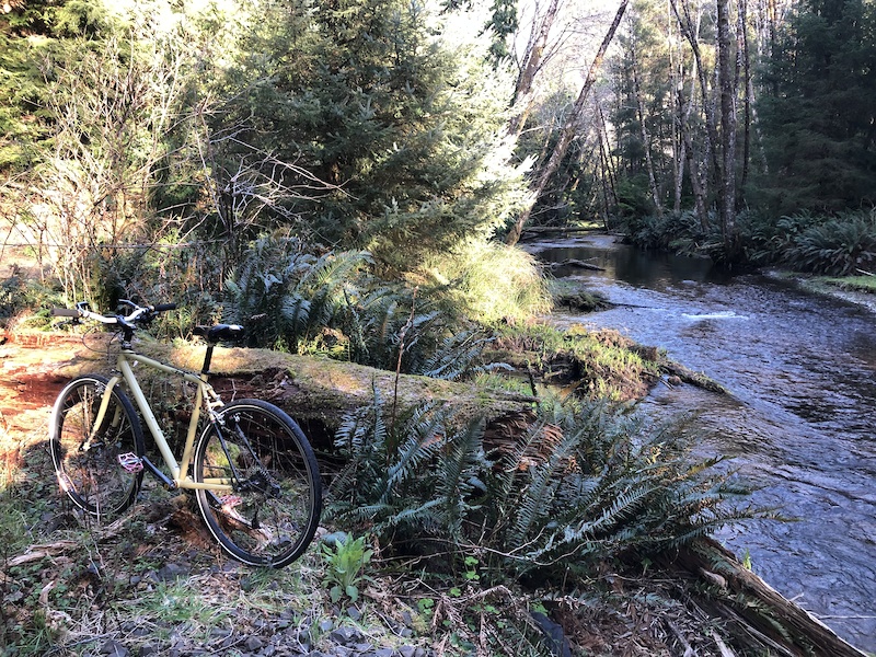 cinelli hobootleg railway