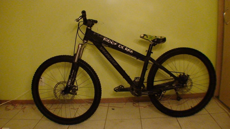 specialized p2 2004