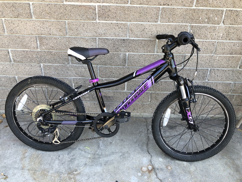 trek fx2 hybrid bike
