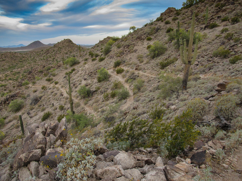 Northstar Mountain Biking Trail Goodyear, Arizona