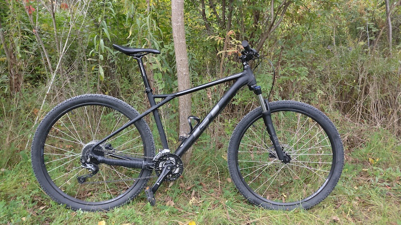 2019 gt avalanche 29er review online