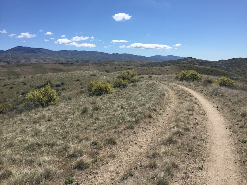 Escape to the Wild: Cartwright Ridge Campground, Idaho's Hidden Gem