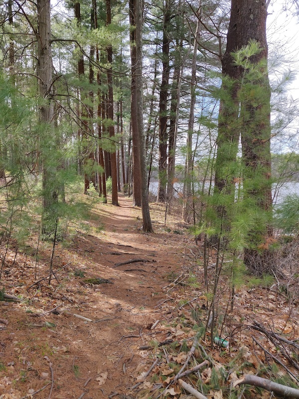 Field Pond South Multi Trail Andover, Massachusetts