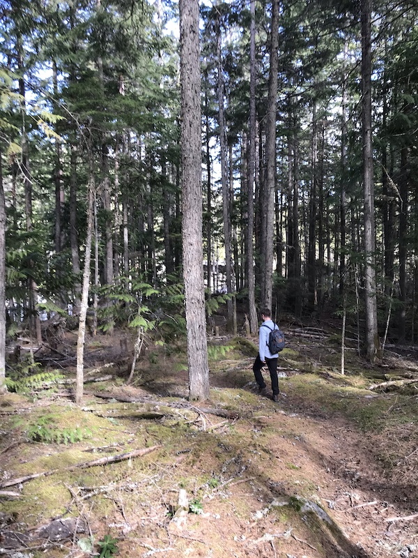 Summit Creek Trail Hiking Trail Creston, BC