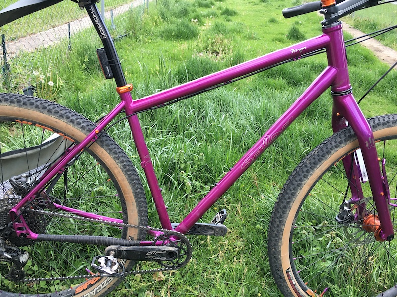 salsa fargo purple