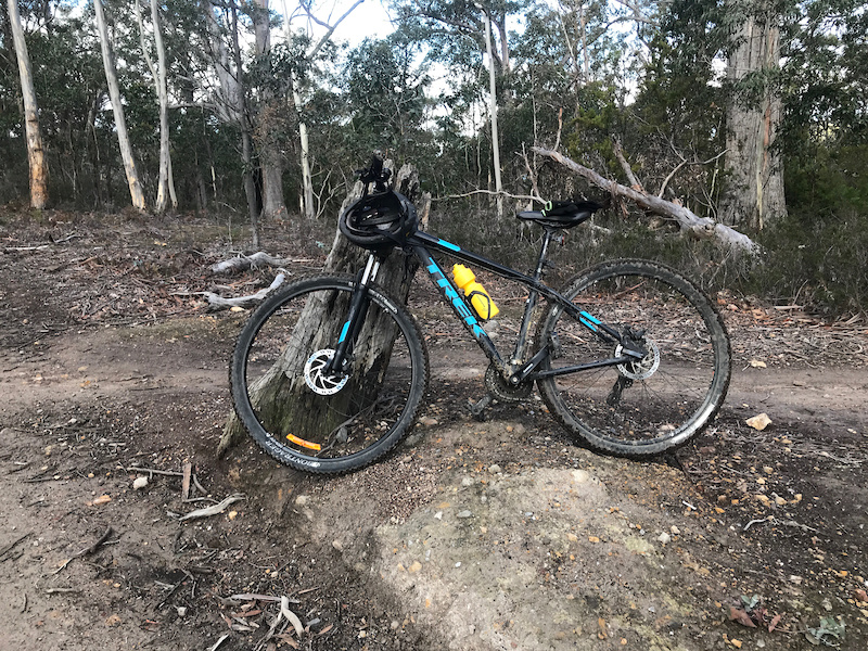 Slides Mountain Biking Trail Hobart Trailforks